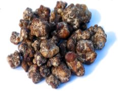 Online truffelshop