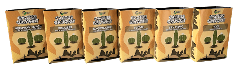 Cactus growkit