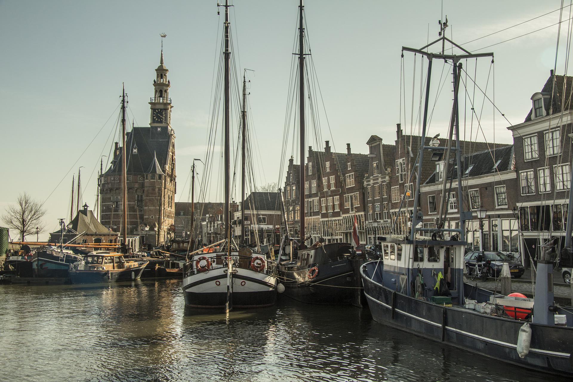 Hoorn
