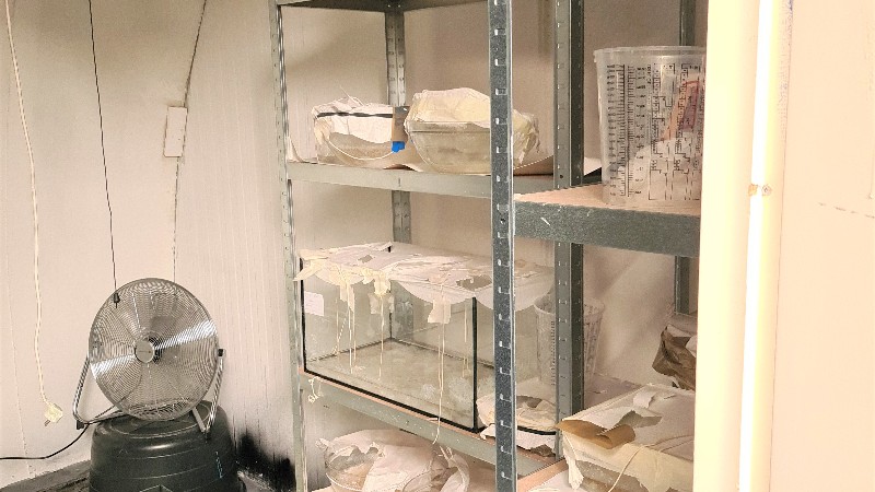 Ketaminelab Amsterdam