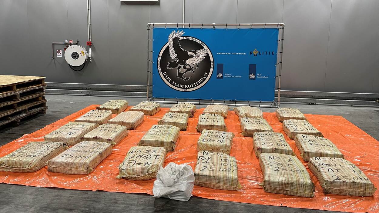 607 kilo cocaïne tussen de ananas ontdekt in Rotterdam