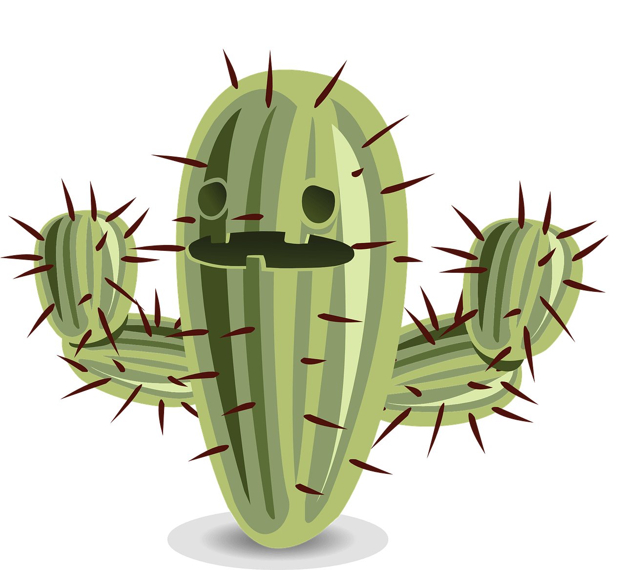 Cactus kweken