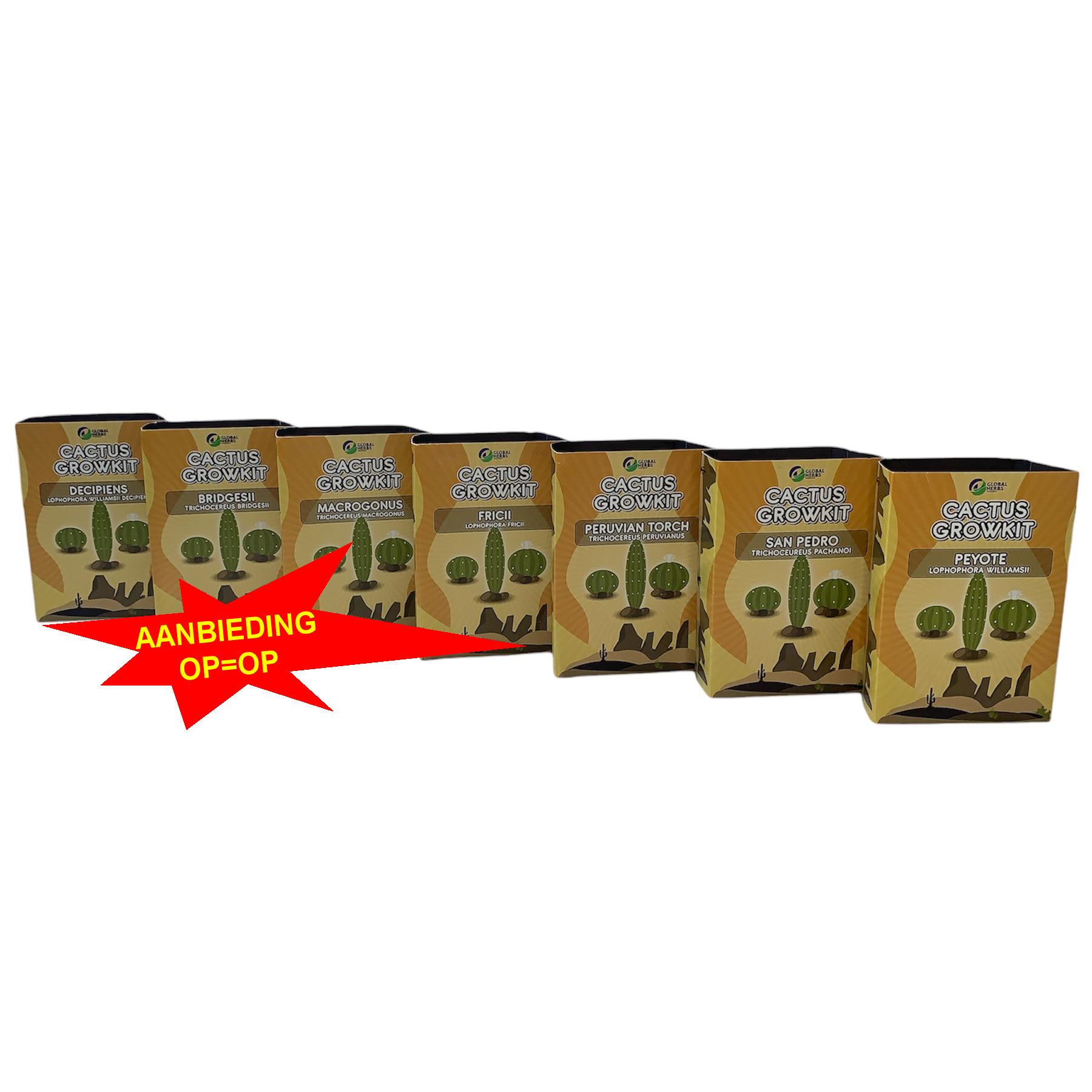 Cactus growkit aanbieding