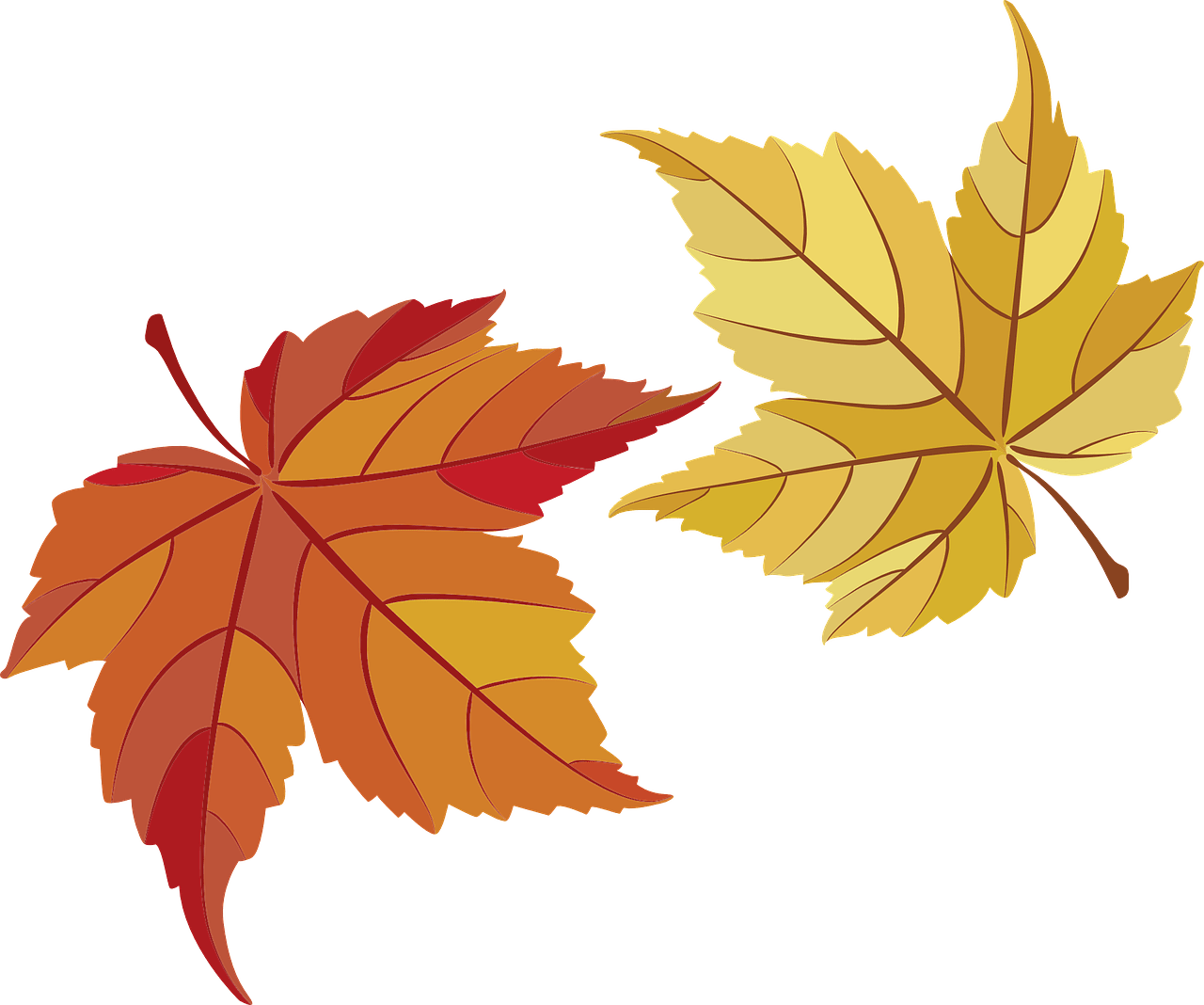 herfst en paddo's kweken