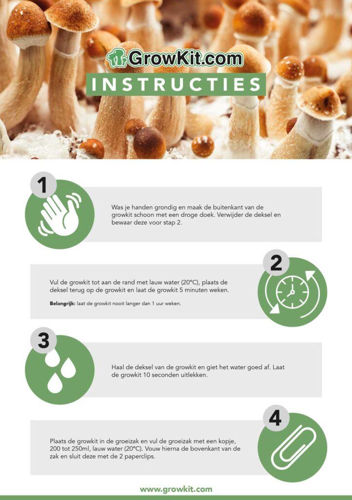 Paddo kweekset handleiding