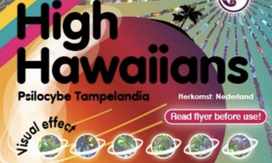 Hawaiiaanse truffels