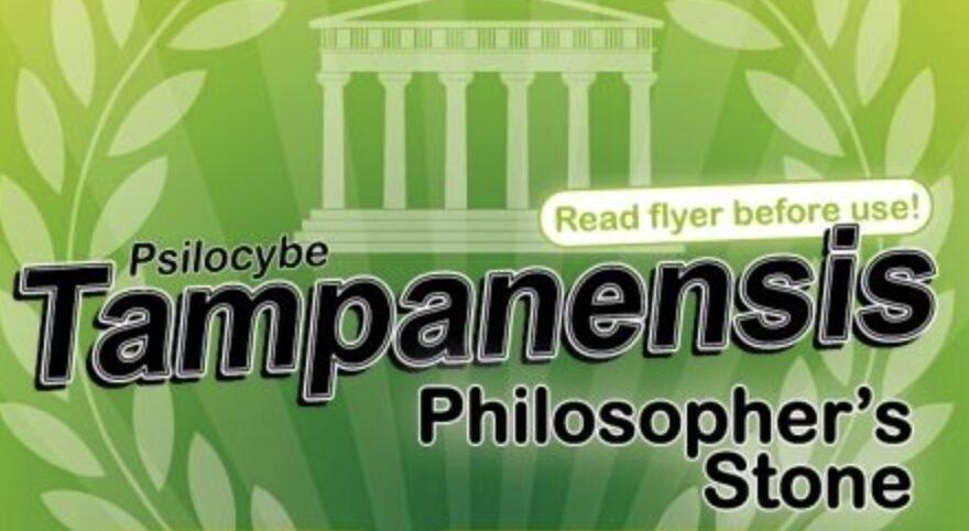 Tampanensis truffels