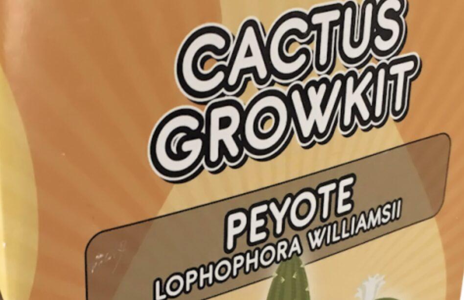 Peyote growkit