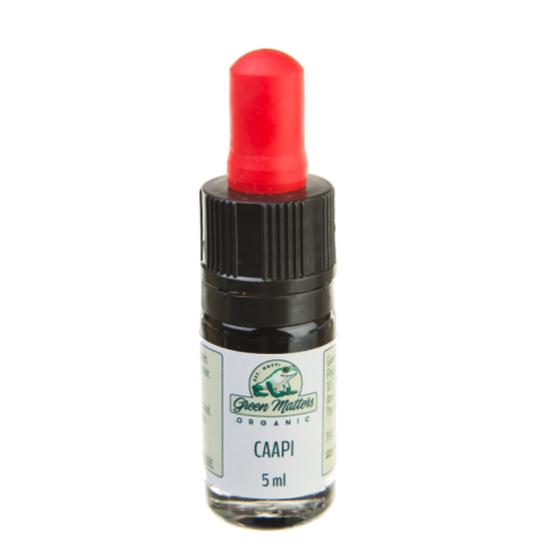 Caapi tinctuur