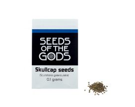 Blauw Glidkruid zaden