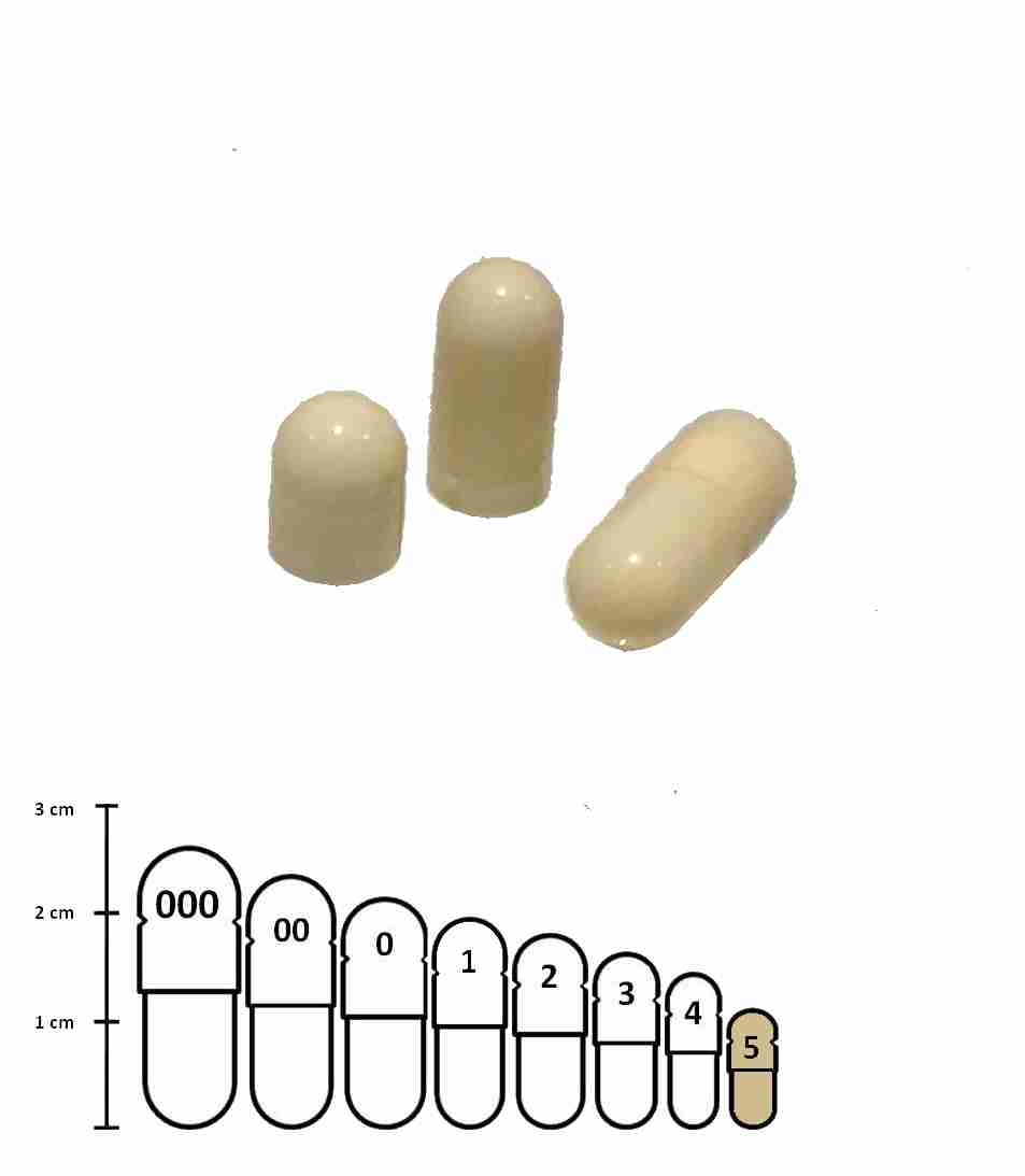 Lege capsules ivoor maat 5 kopen | Wapwinkel